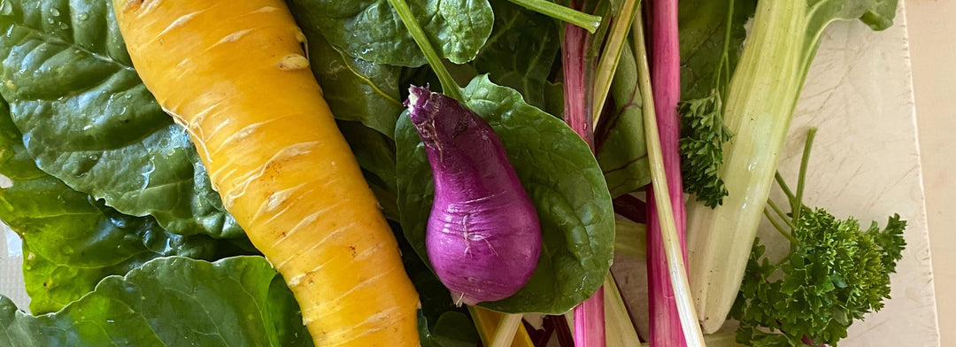 Beginning a Veggie Garden: Step-by-Step Guide