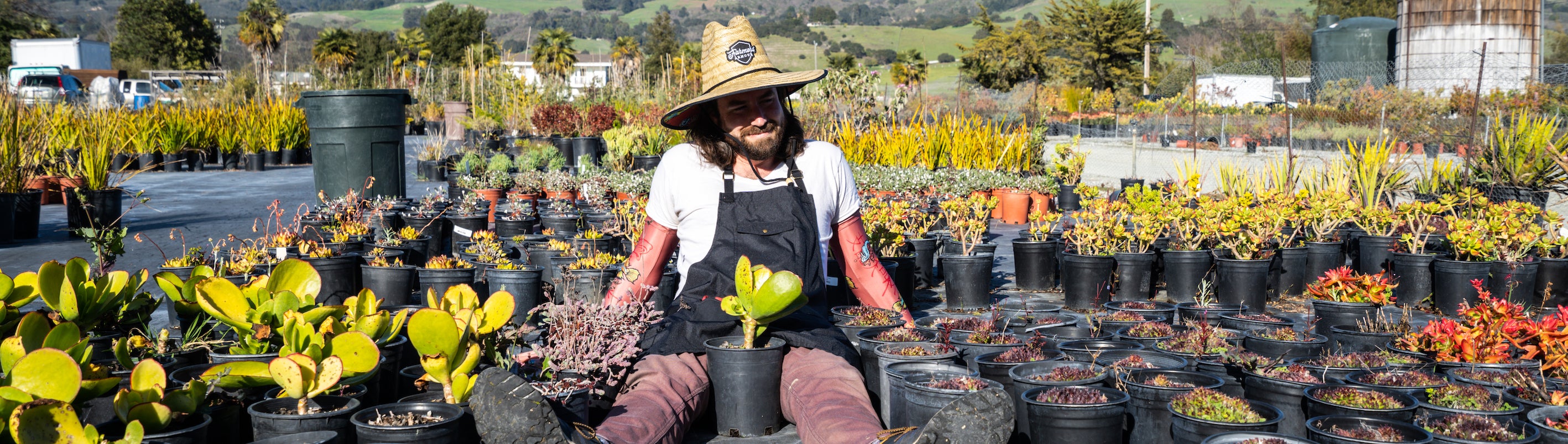 How to Make Container Gardening Work For You