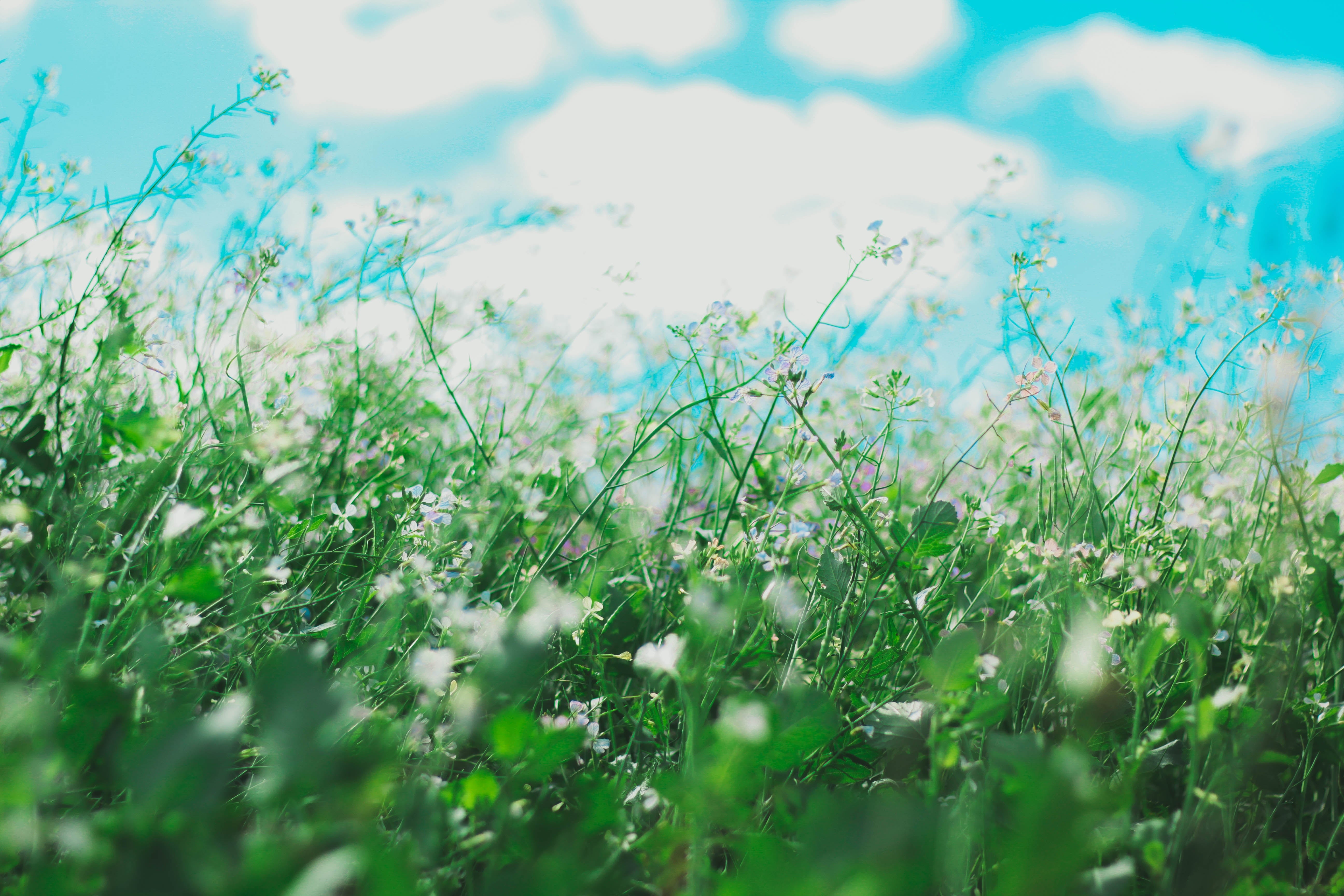 Farmers Defense Neck Gaiter: Your Essential Must-Have for Spring Gardening