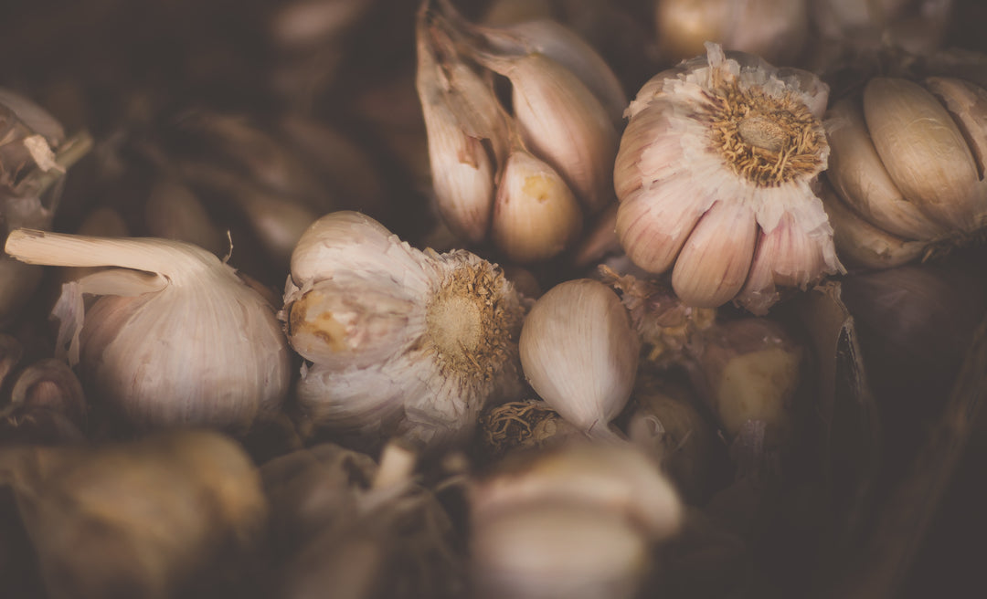 Fully cured garlic bulbs. 