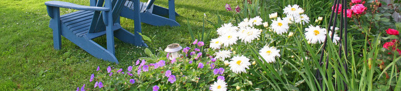 101 Backyard Gardening Ideas