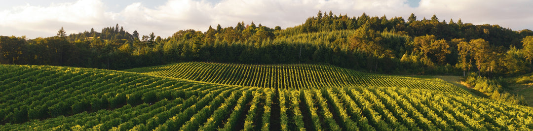 So You're Becoming a Farmer—5 Things to Consider