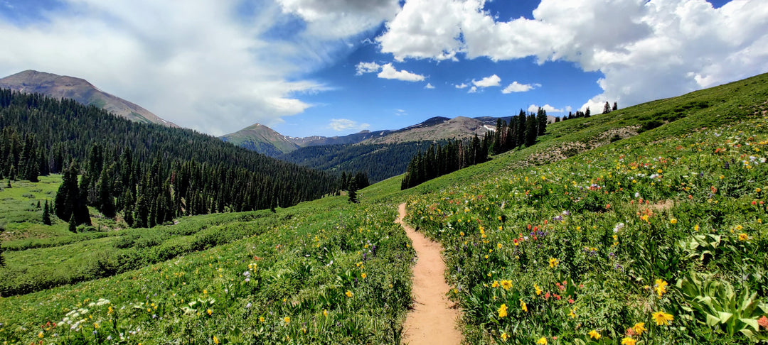 Unleash Adventure: 7 Epic Ways to Maximize Your Farmers Defense Sleeves