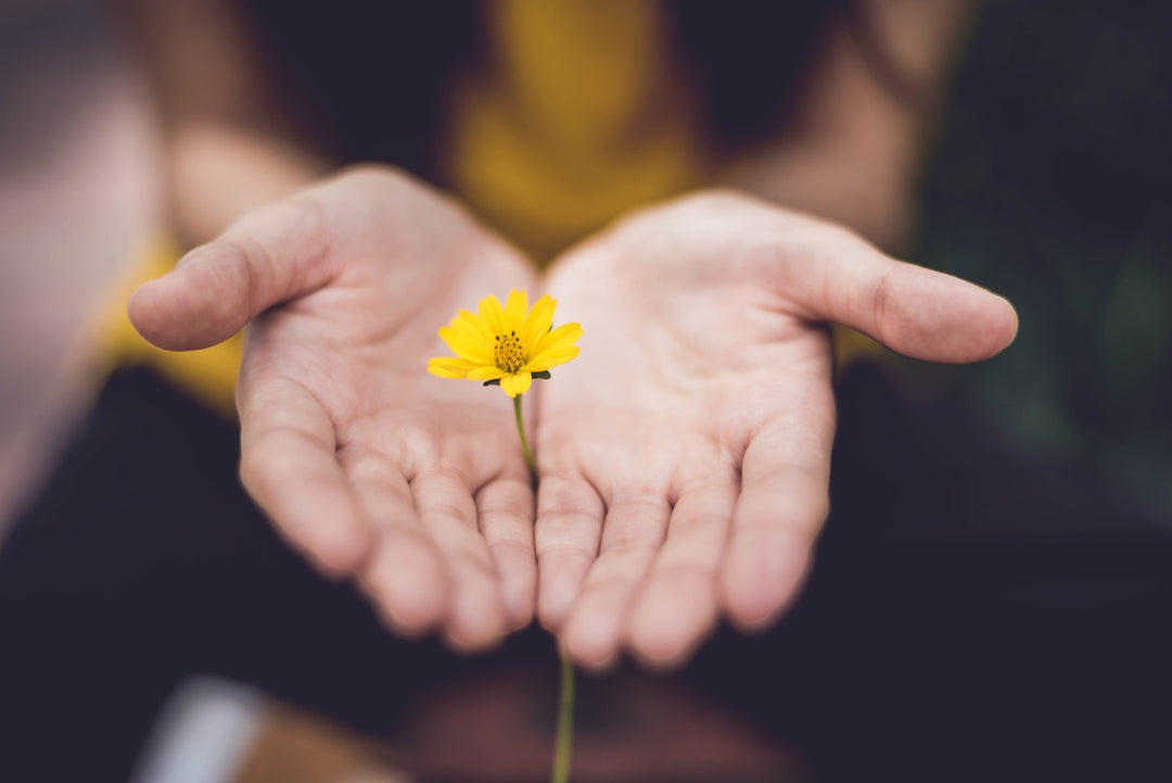Reducing Stress Through Gardening: Techniques for Improving Mental Health in the Garden
