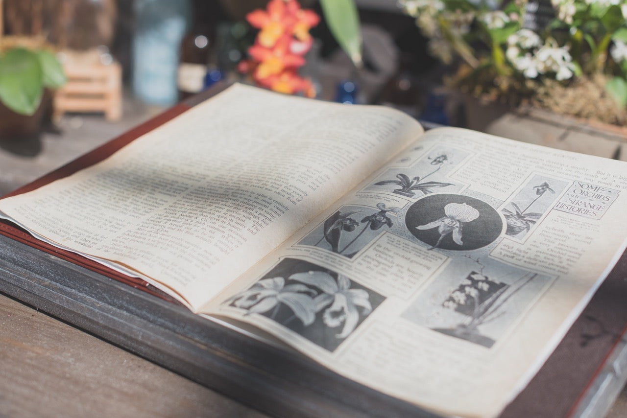 The Best Gardening Books to Begin the New Year