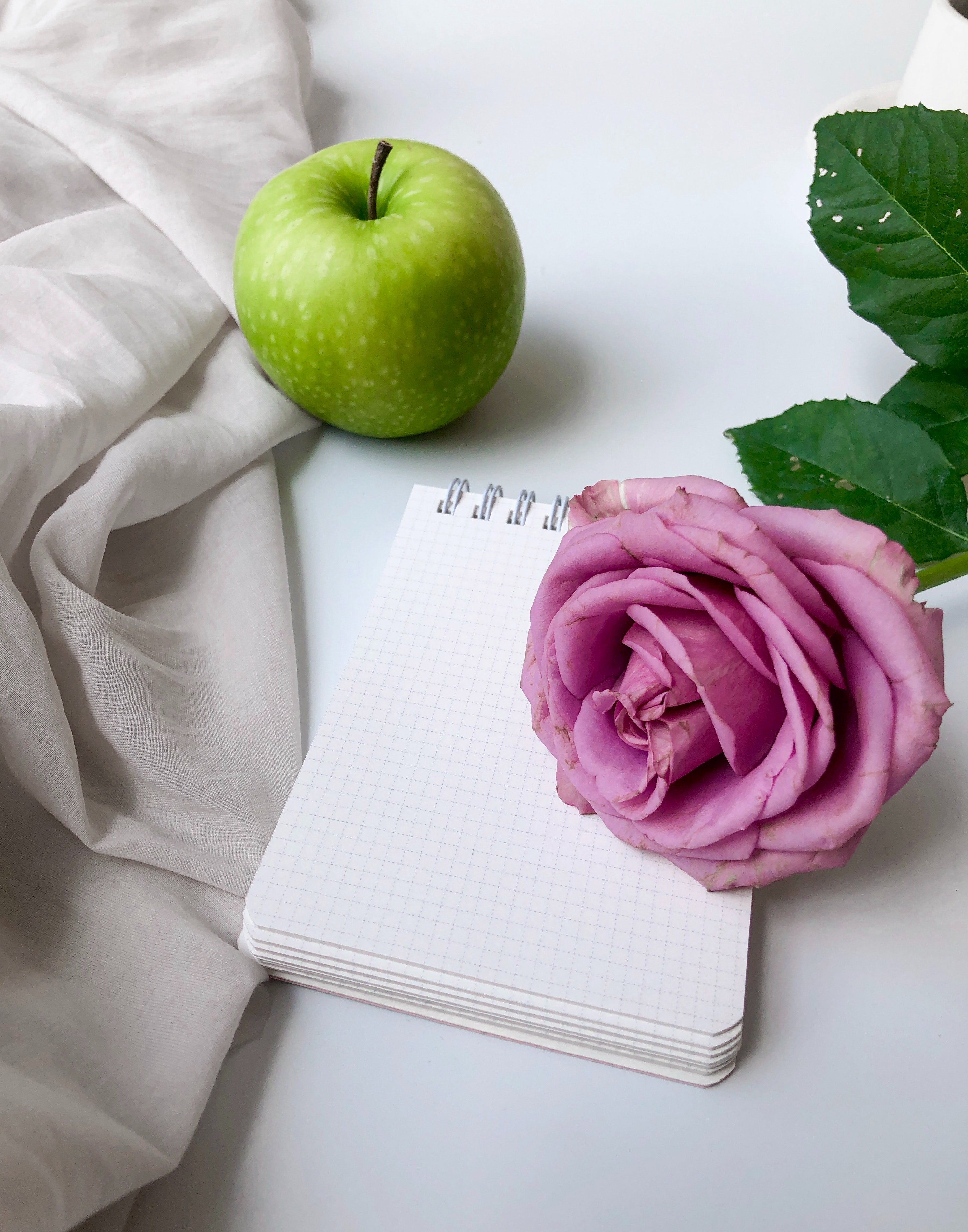 Create Your Own Garden Planner for the New Year