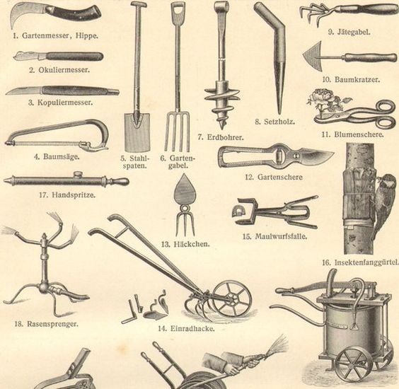 5 Best Tools in the Garden