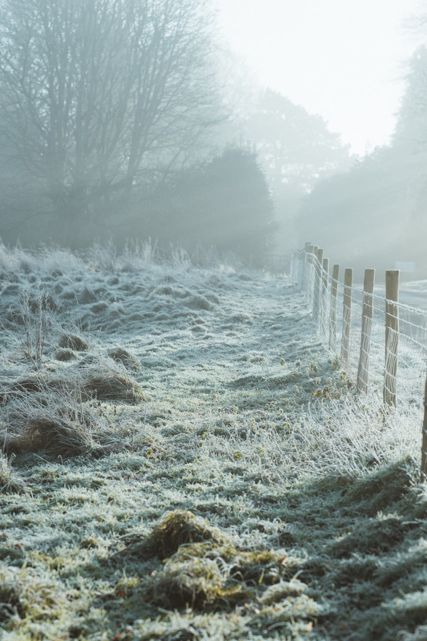 A field covered in frost. 