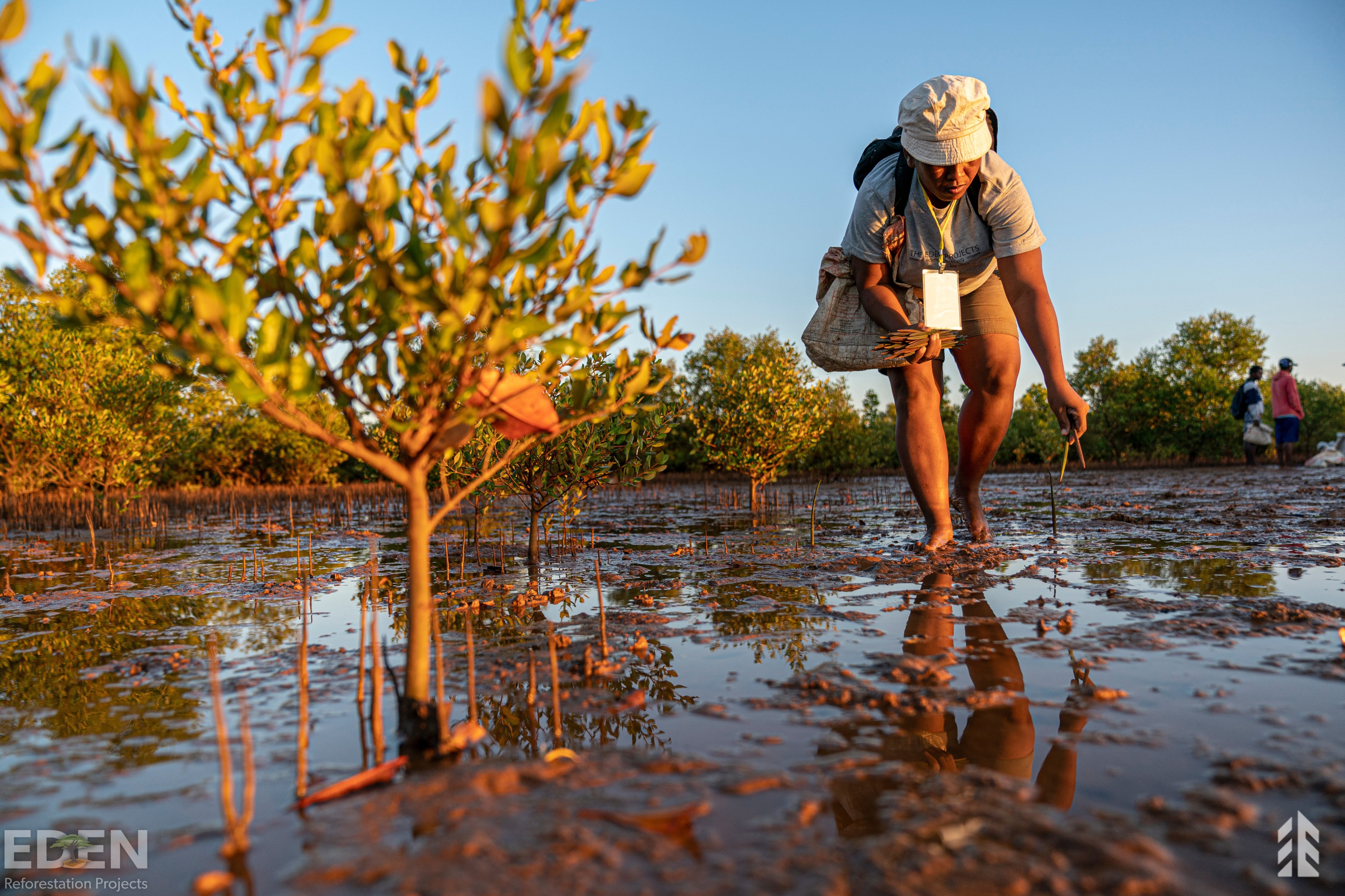 tree-planting.jpeg