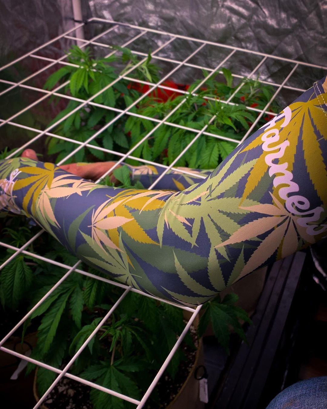 Protection Sleeves - Leaf Camo